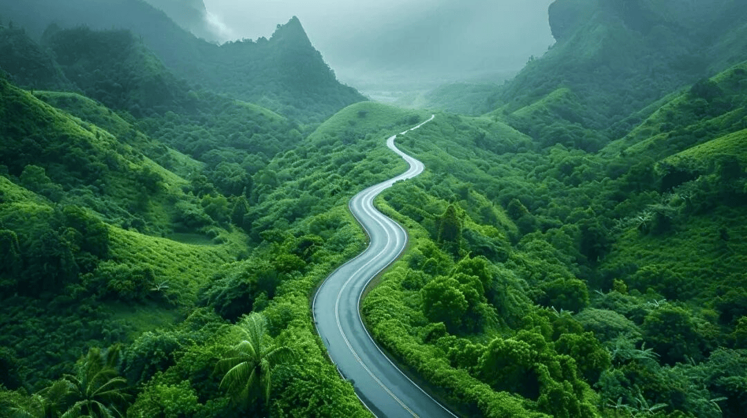 长寿三宝