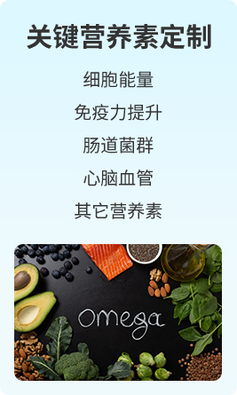 关键营养素定制