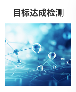 目标达成检测