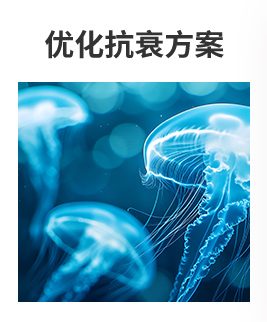 优化方案