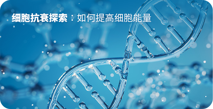 细胞抗衰