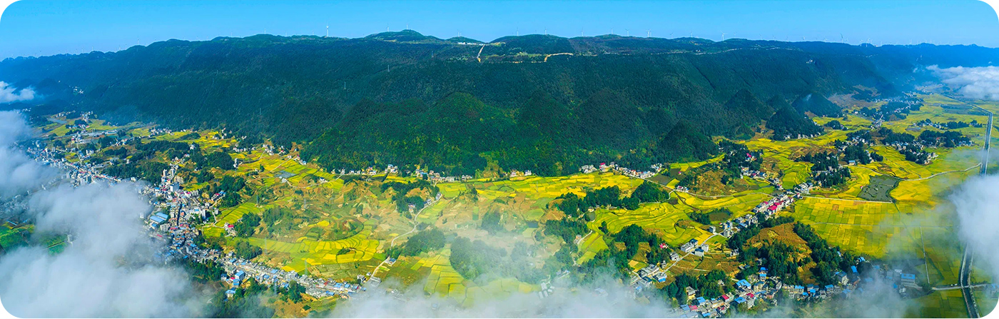 高浓度负离子空气图片